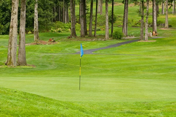 Flaga golfowa — Zdjęcie stockowe