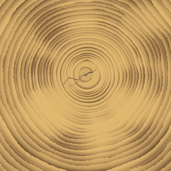 木材横截面 — 图库矢量图片