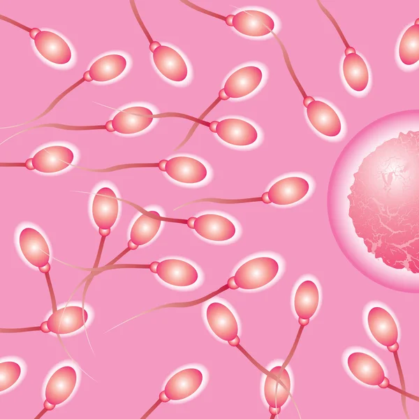 Sperma naturale — Vettoriale Stock