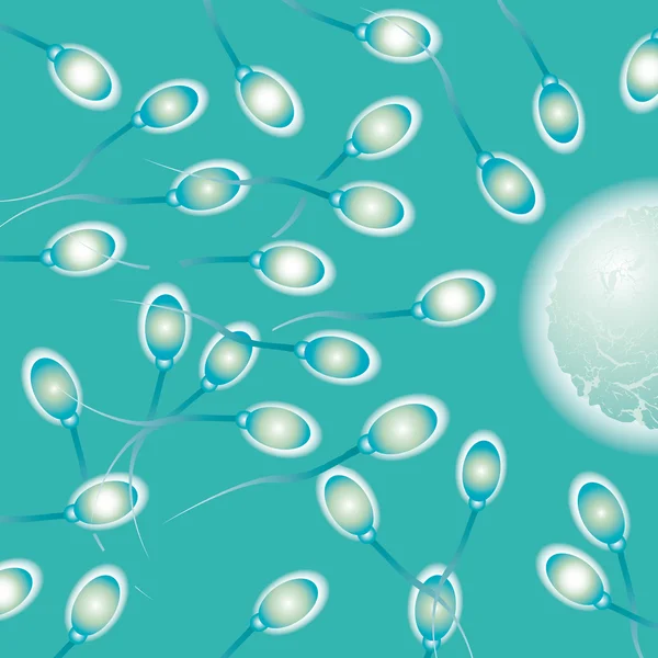 Медицинская сперма — стоковый вектор