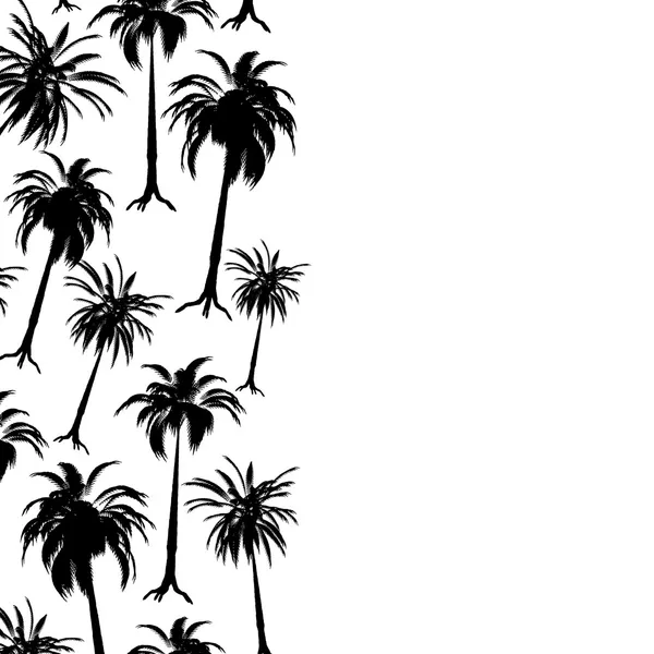 Palm hranice — Stockový vektor