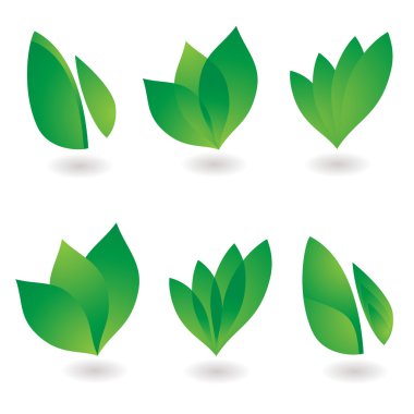 Leaf icon clipart