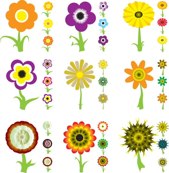 Flower variation — Stock Vector