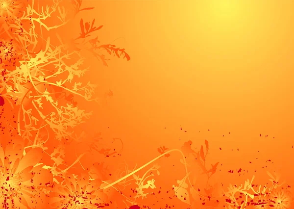 Květinové jemná oranžová — Stockový vektor