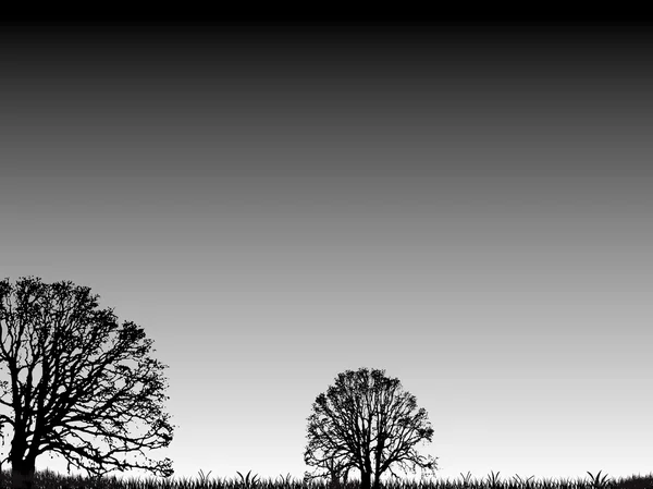 Gradient d'arbres supplémentaires — Image vectorielle