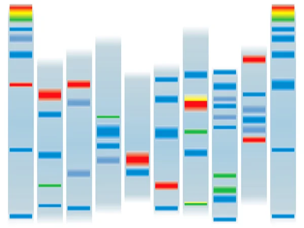 DNA klart — Stock vektor