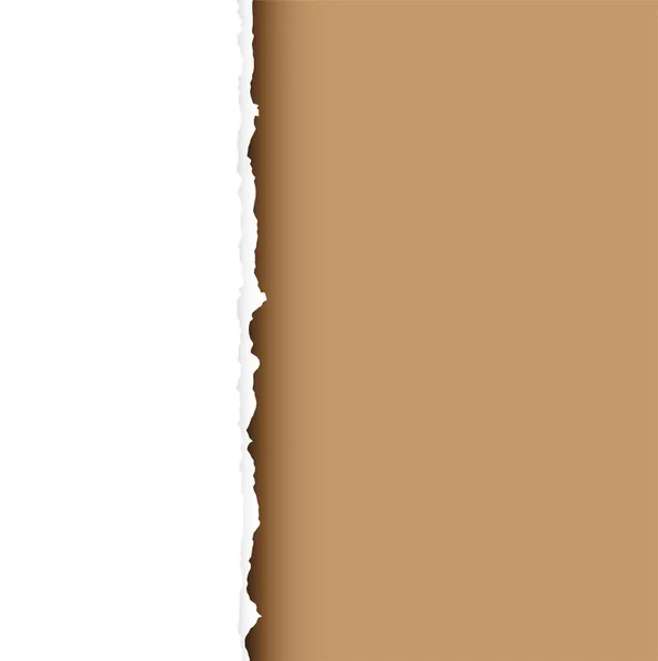 Diviser la déchirure brune — Image vectorielle