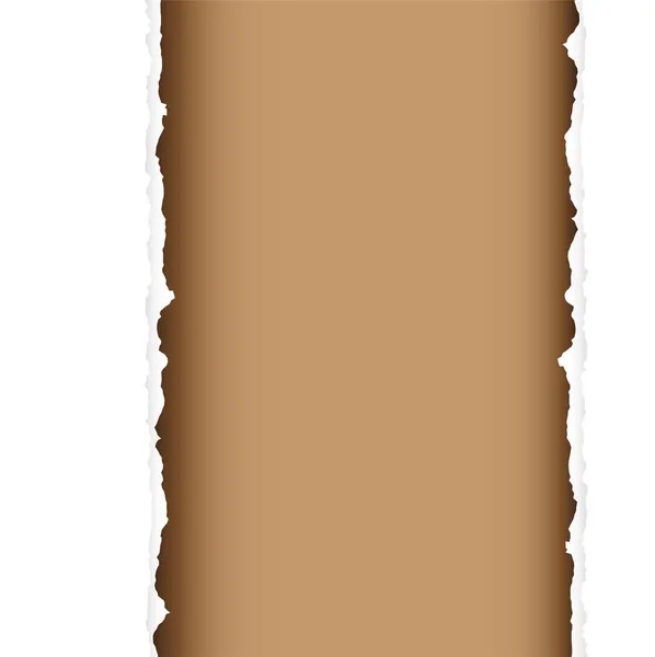 Diviser la déchirure brune — Image vectorielle