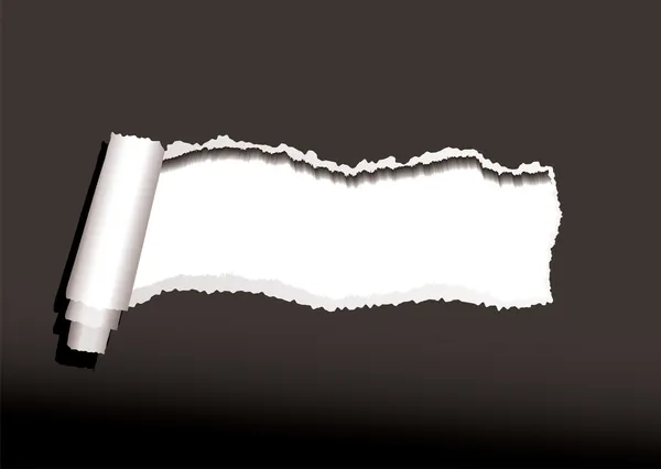 Boucle en papier noir — Image vectorielle