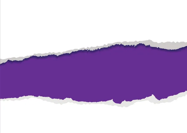 Purple torn strip background — Stock Vector