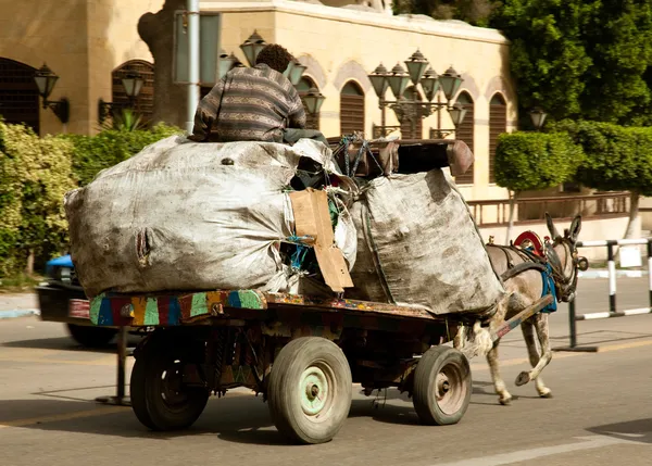 Zabbaleen trash collectors on cart — Stock Photo, Image