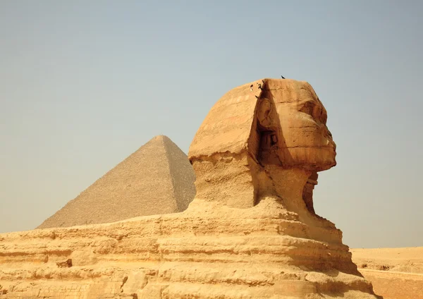 Sfinga a giza pyramidy v Egyptě — Stock fotografie