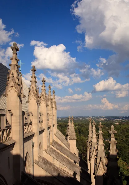 Tallados exteriores Catedral de Washington —  Fotos de Stock