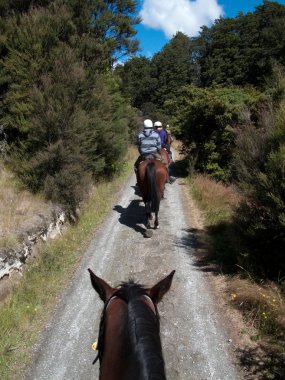 Horse ride into the countryside clipart