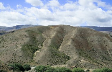 Yeni Zelanda haddeleme kırsal