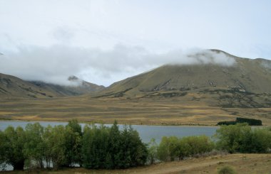 Mount cook çimenli düz bir yere