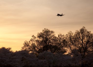 Aircraft landing at Reagan National clipart