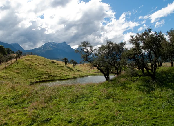 Glooiend landschap in Nieuw-Zeeland — Stockfoto