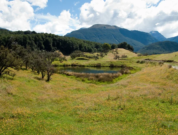 Rullende landskab i New Zealand - Stock-foto