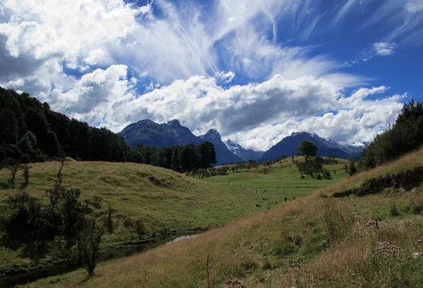 Yeni Zelanda haddeleme kırsal — Stok fotoğraf
