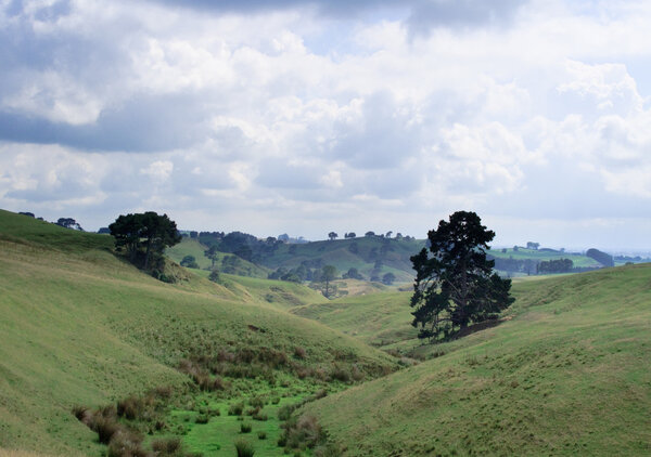 Rolling countryside in New Zealand