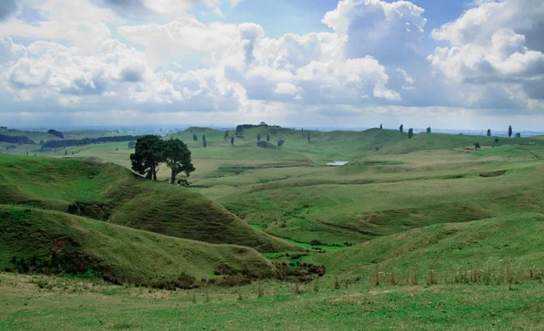 Rollende Landschaft in Neuseeland — Stockfoto