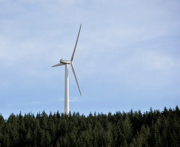 Single wind electricity generator — Stock Photo, Image