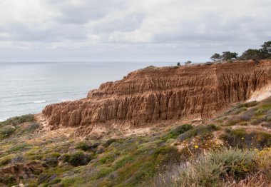 Cliffs off Torrey Pines state park clipart