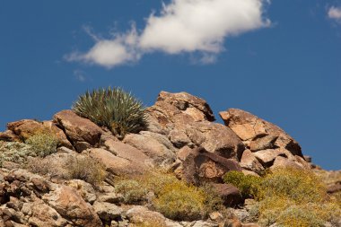 anza borrego state park genel bakış