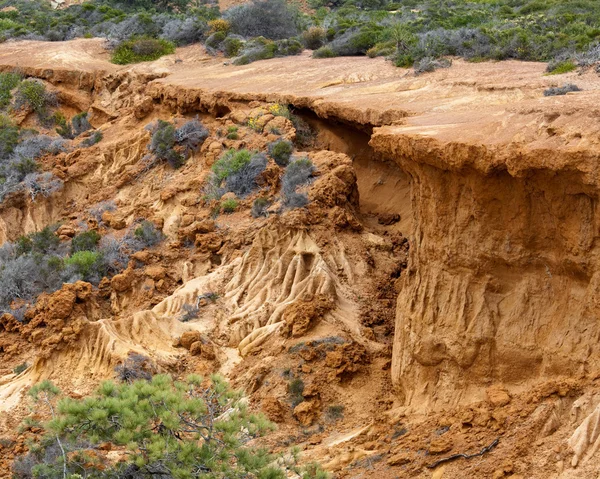 Zhroutil cliffl v torrey pines státní — Stock fotografie