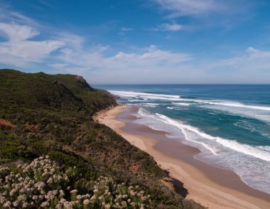 Coast near 12 Apostles in Australia clipart