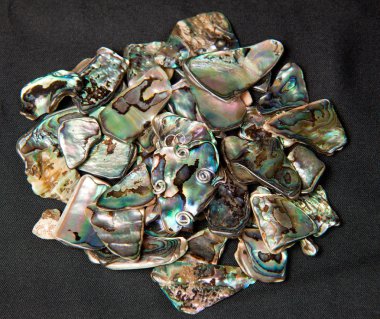 Pile of Paua shells clipart