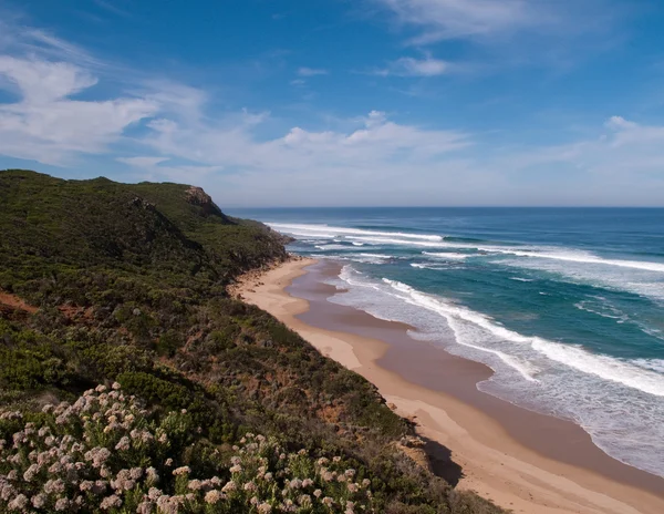 Coast near 12 Apostles in Australia — Stock Photo, Image