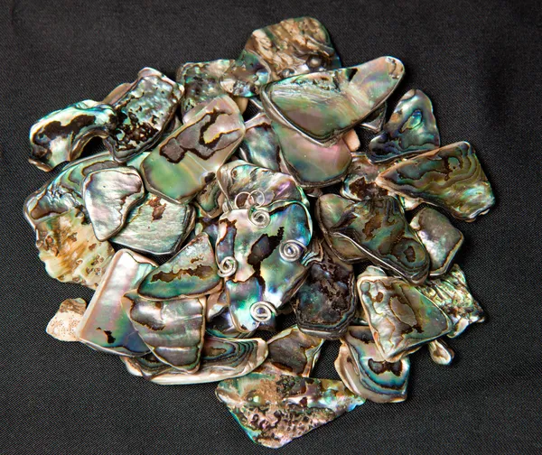 Pilha de conchas de Paua — Fotografia de Stock