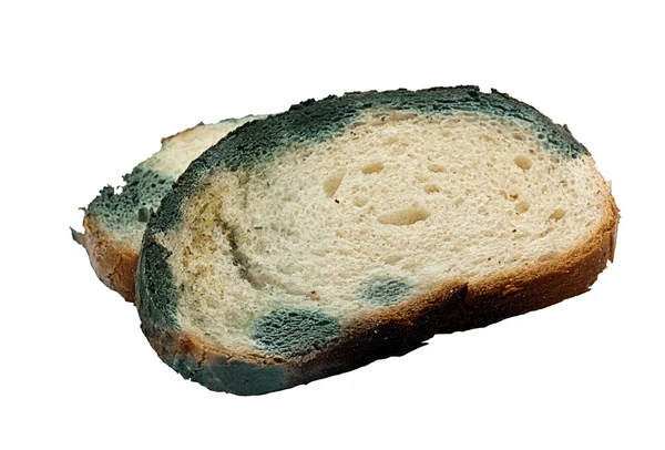Uprawiane spleśniały chleb pokroić na kawałek — Zdjęcie stockowe