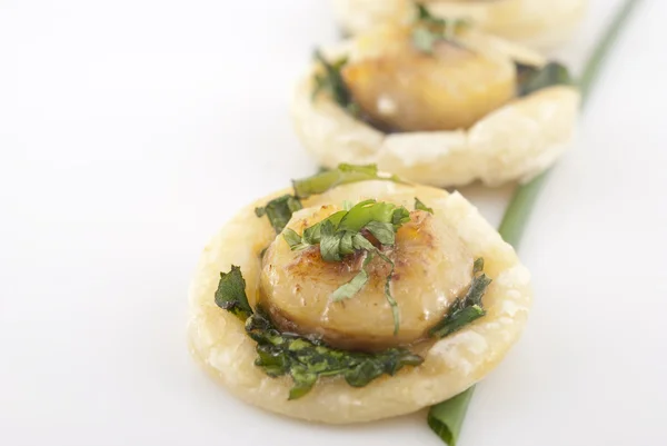 Scallop appetizer — Stock Photo, Image