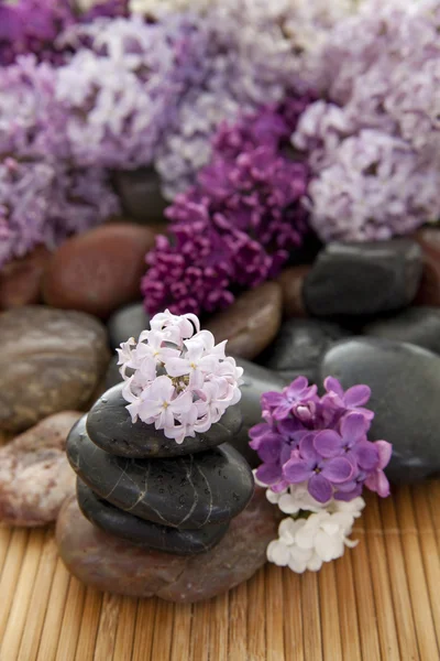 Pilha de rocha com flores — Fotografia de Stock