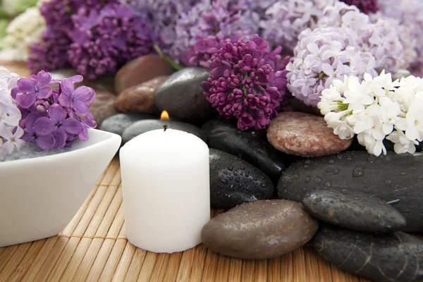 Lilac spa — Stock Photo, Image