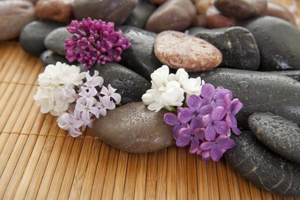 Kamení s květinami — Stock fotografie
