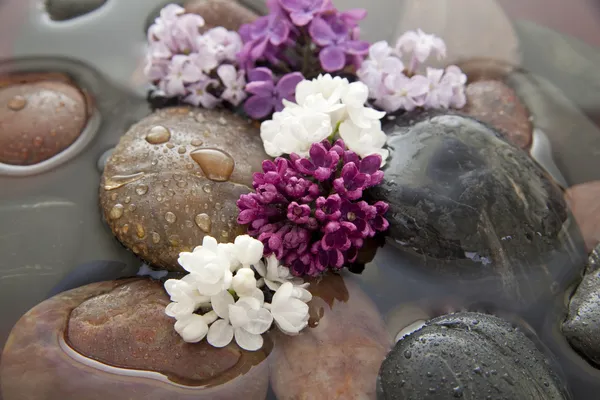 Камни, цветы и вода — стоковое фото
