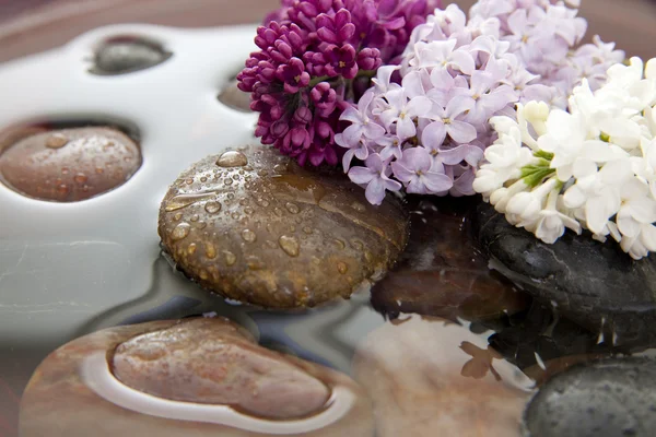 Kameny, květiny a voda — Stock fotografie