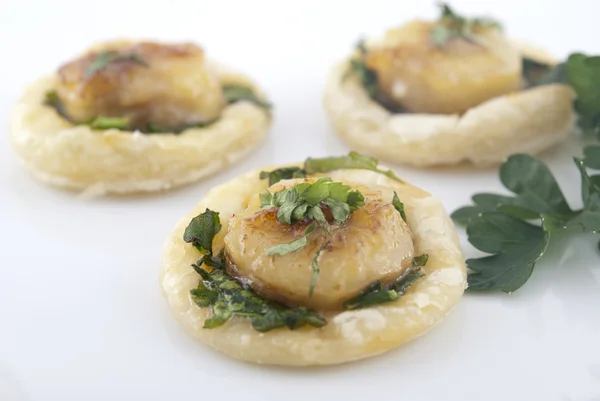 Scallop appetizer — Stock Photo, Image