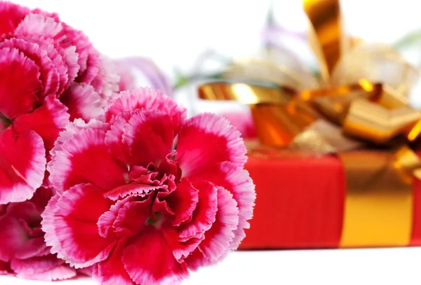 Gift and Carnation — Stock Photo, Image