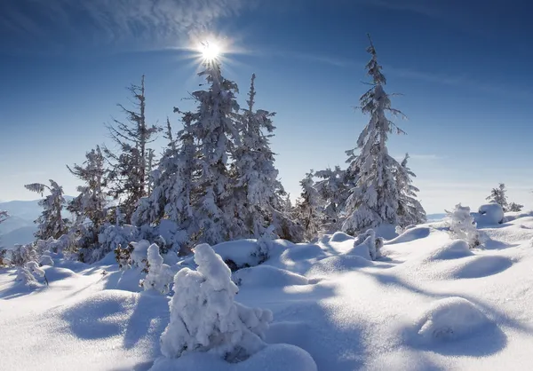 Vinter i bjerge - Stock-foto