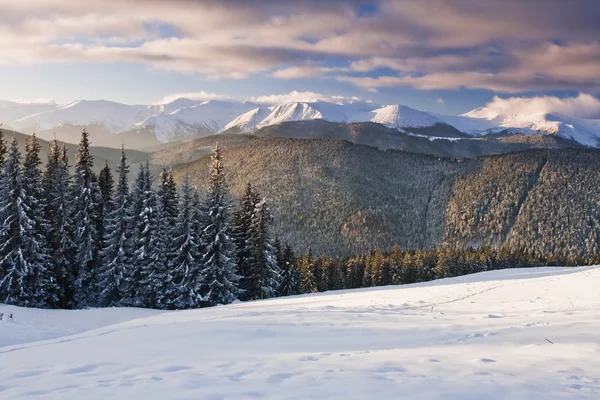 Dağlarda kış — Stok fotoğraf