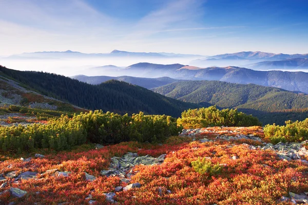Berg hösten — Stockfoto