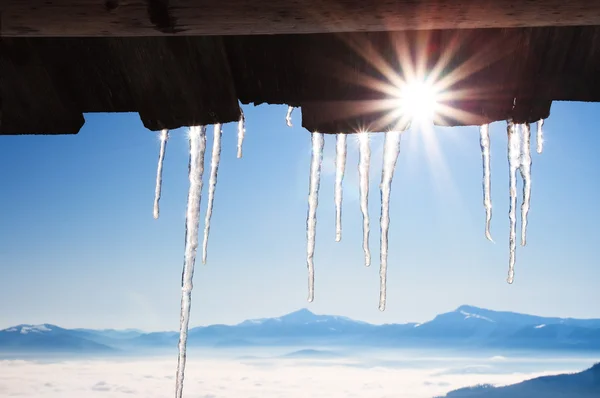 stock image Icicles