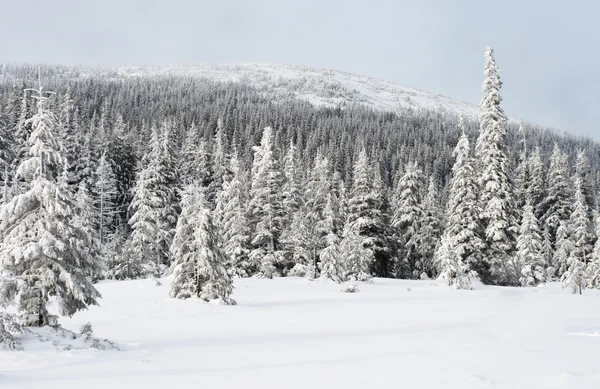 Inverno nas montanhas — Fotografia de Stock