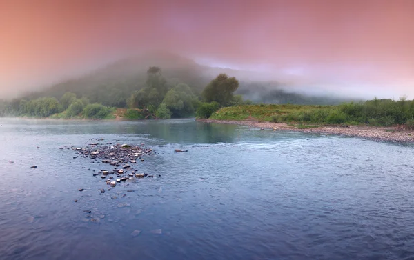 강 풍경 — 스톡 사진