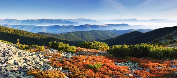 Hösten i berg — Stockfoto